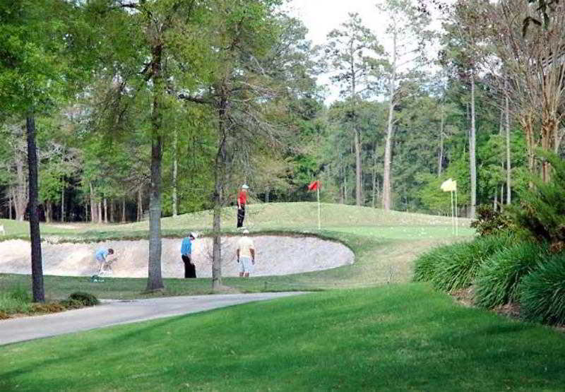 Heritage Place Houston Brookhollow Facilități foto